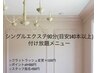 シングルつけ放題90分（限定アイシート無料！）★本数上限なし　¥8800