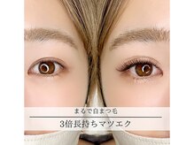 ワープラッシュ(warp lash)