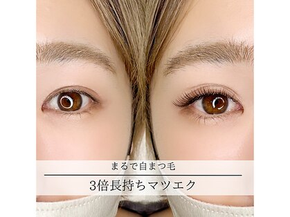 ワープラッシュ(warp lash)の写真