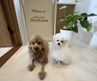エステティックサロン モンタナ(Montana)