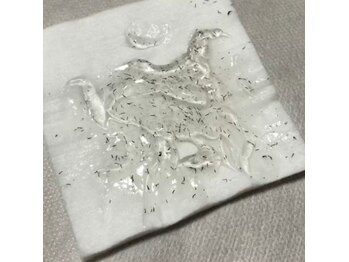 ロジュマンアンドクレア(LOGEMENT&Crea.)/抜け落ちたヒゲ