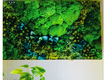 アールアンドビューティー(R&Beauty)/インフォメーション