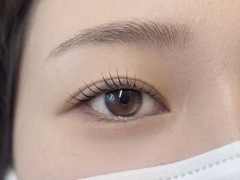 アフェディア(AFEDIA)の写真/【大人の品格】盛りすぎない、でも確実に変わる。自まつげを活かしたナチュラルで美しい仕上がりをご提案