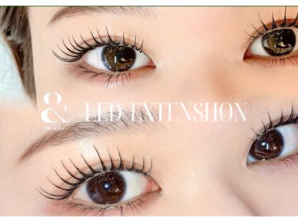 ルミナス(Luminous)の写真