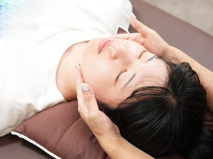 クローバー(Clover)の写真