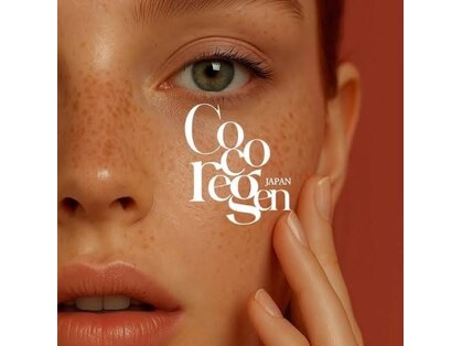 テリー(Terry)の写真