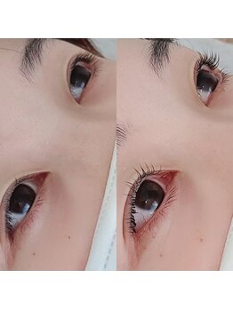 コア(Koa)/ラッシュリフトカール