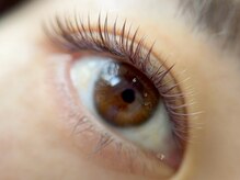 ヘアアンドアイラッシュ テクテク(teku teku)/ボリュームラッシュ　ボリューム