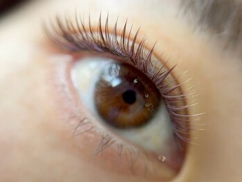 ヘアアンドアイラッシュ テクテク(teku teku)/ボリュームラッシュ　ボリューム