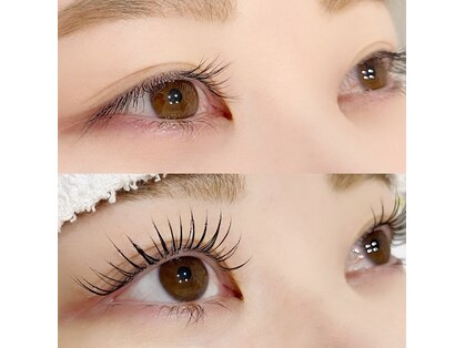 ナナイロ(716)の写真