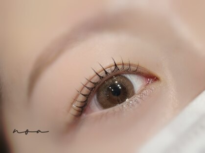 ノア(noa)の写真