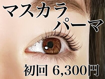 フォース(Force)の写真