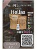 漢方ダイエットのご案内