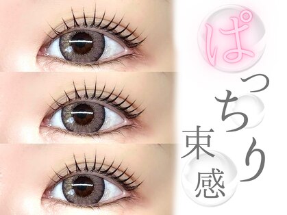 スキル(SKILL)の写真