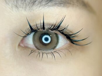 ブルームラッシュ(Bloom Lash)の写真/今話題の“羽のマツエク”をはじめ、L・LC・LDカールなど他店では珍しいエクステ多数ご用意しております◇