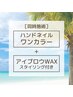 【同時施術】[ハンドワンカラー]×[アイブロウwax＋スタイリング]