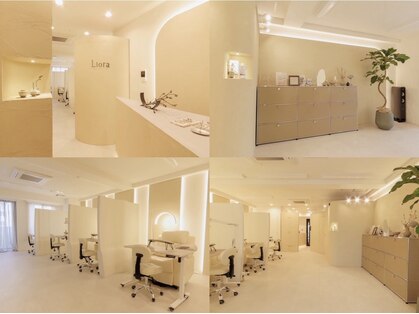 リオラ(Liora)の写真