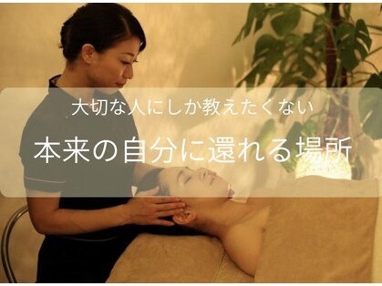 ロータス(lotus)の写真