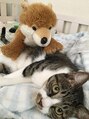 エリィ ワックス(erii wax) うちのかわいい猫と柴犬？(笑)