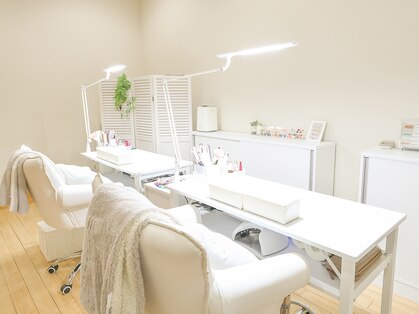 キララ(Kirara)の写真