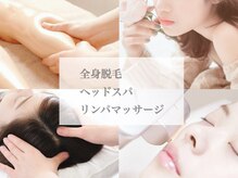 ステラ(Stella)