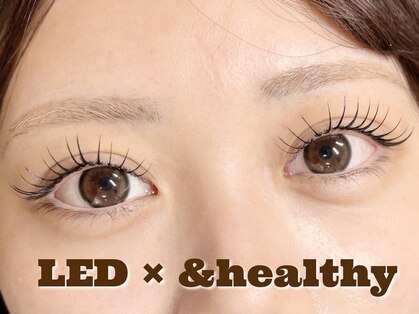 デイズ アイ ベクシー(Day`s eye Becsy)の写真