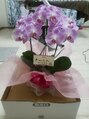 キムズライフ フットケア(Kim’slife)&nbsp;お客様から頂いた花です。すごく綺麗で、嬉しかったです。