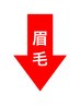 眉毛メニュー↓↓↓（このクーポンは選択できません。）
