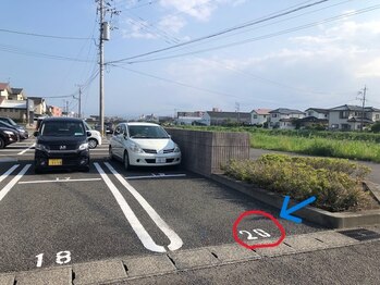 モンステラ(Monstera)/駐車場