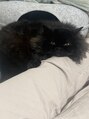 アンジール(ANJIR) モッフモフの猫飼いです!猫グッズ買っちゃいます!