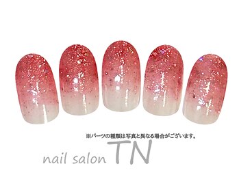 ティーエヌ イオン新潟青山店/7月季節の定額3900円コ―ス