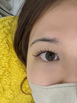 イーエヌトリップ(en.trip)/まつ毛エクステ 120本