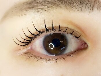 ゼロプラス(Zelo+)/ラッシュリフト