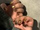 グロウネイル 福井(GLOW/NAIL)の写真/デザインにお悩みの方へ◎豊富なサンプルからお気に入りが見つかる♪【hand】定額デザインBコース￥8,200
