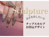 【長さ出し/チップスカルプ】お持込画像再現/デザインサンプルあります