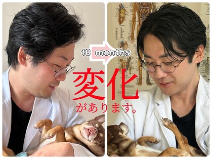 撫の樹の写真