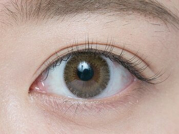 アイブロウ アンド アイラッシュ アイランド(ISLAND)/最高級セーブル80本 太さ0.1ミリ