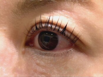 ウルカ アイラッシュ(uruka EYELASH)/ラッシュリフト