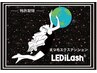 光硬化☆LEDエクステ☆フラットラッシュ120本￥7678【LEDiLash】
