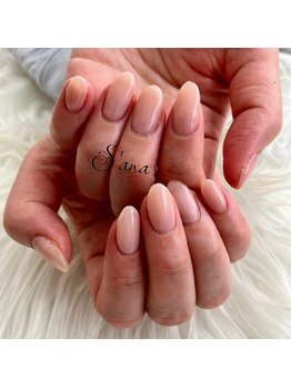 サナ 久が原 千鳥町(S’ana)/大人ワンカラー