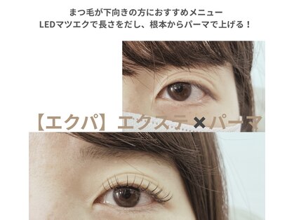 バンビ(Bambi)の写真