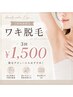 【まずはお試し♪】わき脱毛 3回 ¥1500