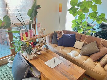 ハオン(HAON)/カウンセリングソファ