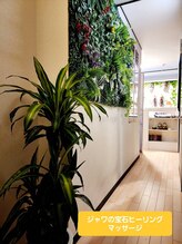 ジャワの宝石/壁にある生きた植物と人工植物