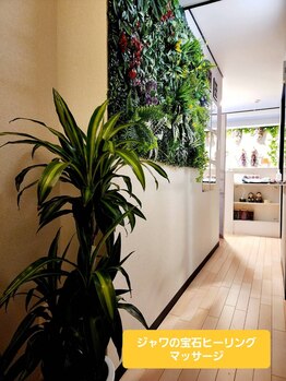 ジャワの宝石/壁にある生きた植物と人工植物