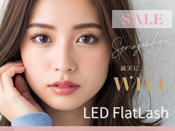 ウィル 新潟小新店(WILL)の写真/【選べる200種超の目元専門店】毛質×カール×カラーも豊富★高級セーブル/フラット￥4980/LEDエク￥5800
