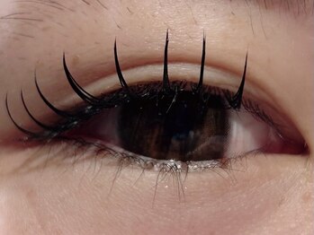 カラン 焼津店(CALIN)/フラットラッシュ120本