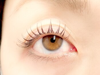 パティオアイラッシュ(Patio eyelash)/ラッシュリフト
