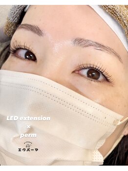 ネイルワン アイラッシュ エムアンド(nail One eyelash m&)/〈エクステパーマ〉