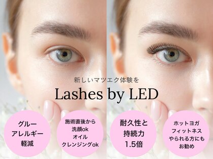 ブランシュ(Blanche)の写真